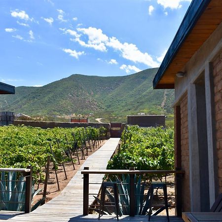 Uvauva Eco-Retreat Bed & Breakfast Valle de Guadalupe Exterior foto
