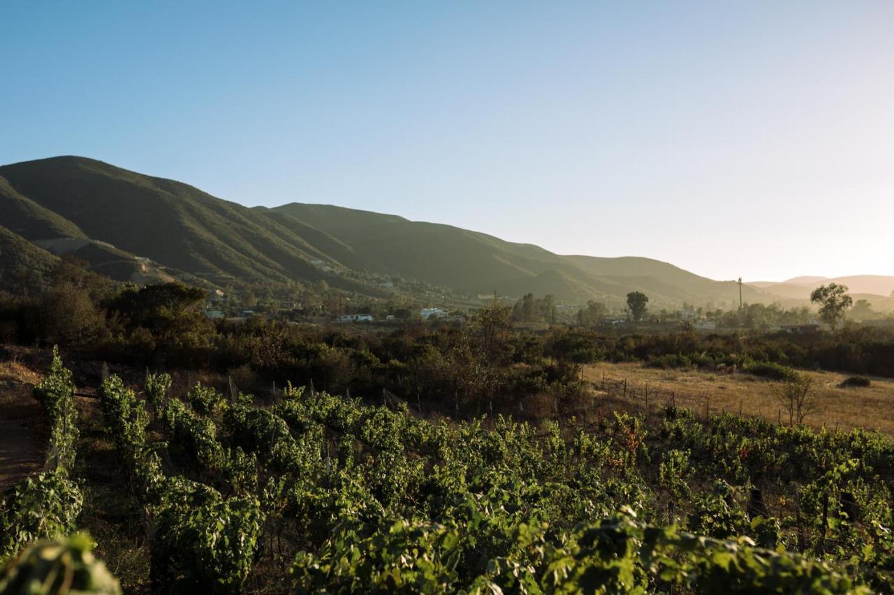 Uvauva Eco-Retreat Bed & Breakfast Valle de Guadalupe Exterior foto