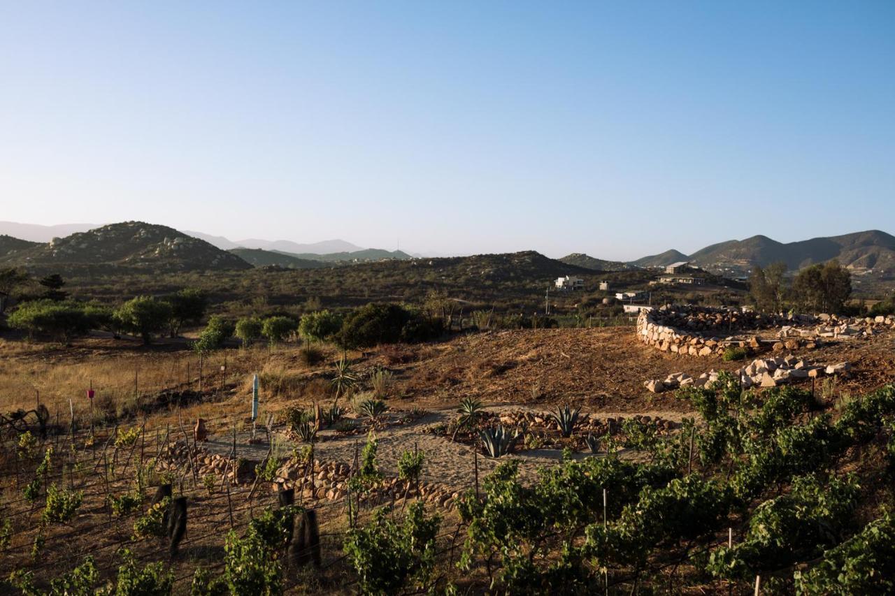 Uvauva Eco-Retreat Bed & Breakfast Valle de Guadalupe Exterior foto
