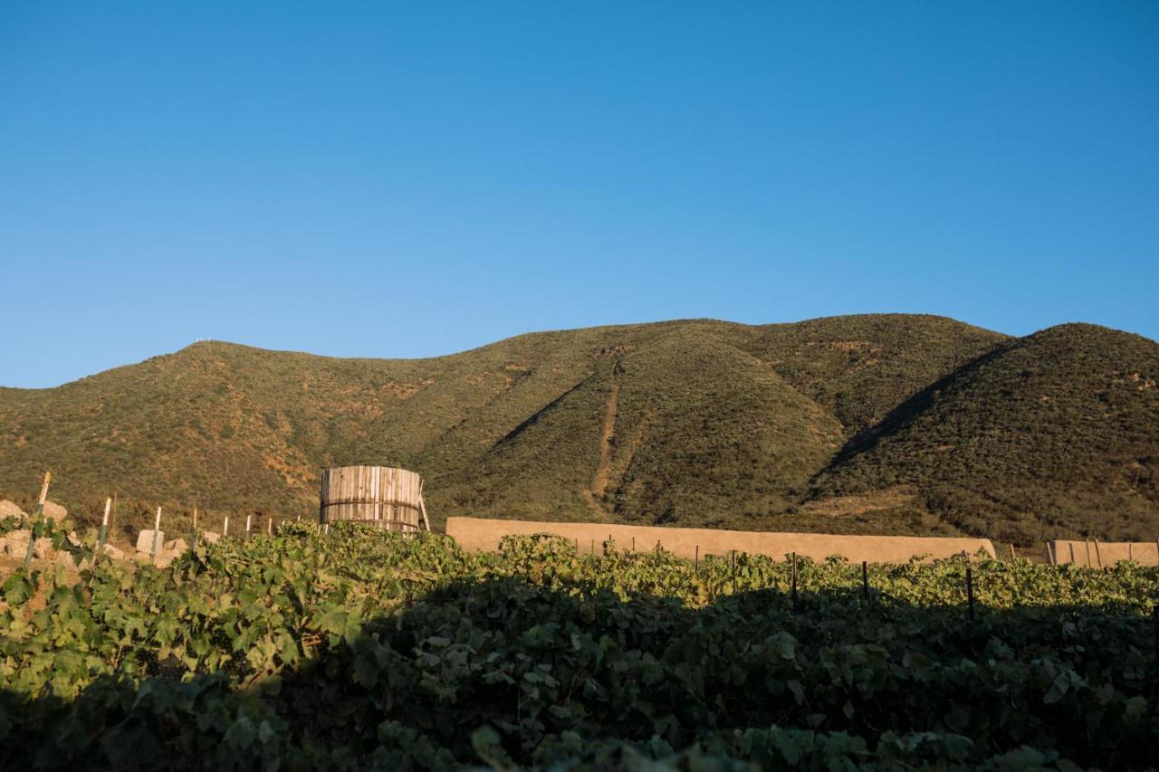 Uvauva Eco-Retreat Bed & Breakfast Valle de Guadalupe Exterior foto