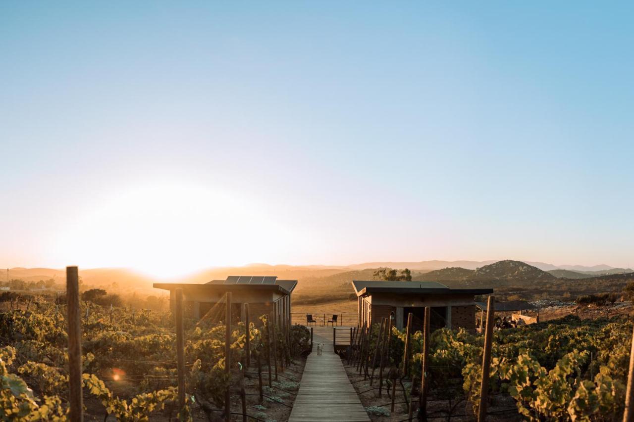 Uvauva Eco-Retreat Bed & Breakfast Valle de Guadalupe Exterior foto