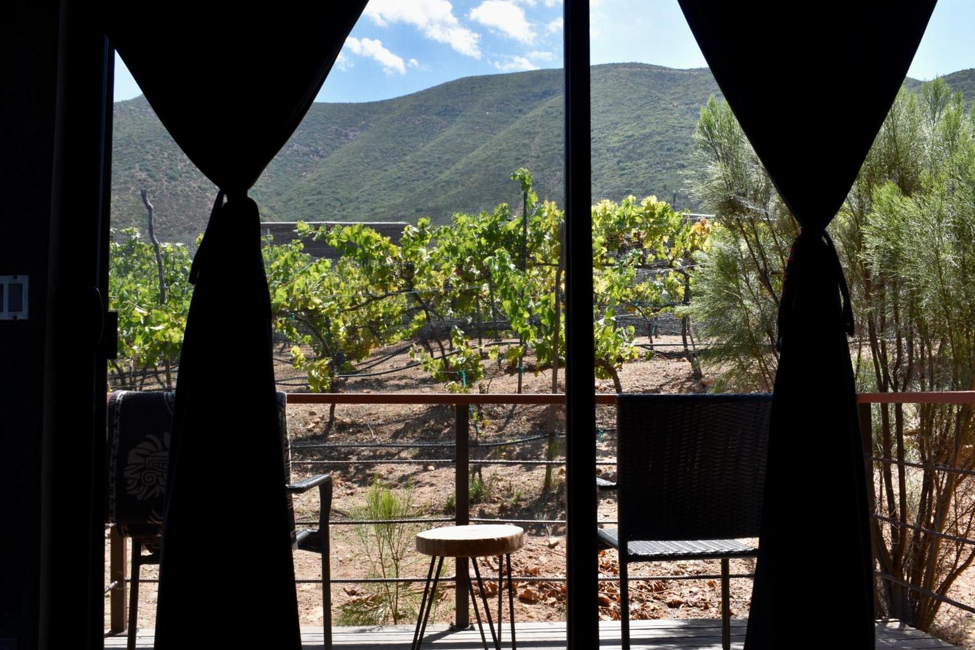 Uvauva Eco-Retreat Bed & Breakfast Valle de Guadalupe Exterior foto