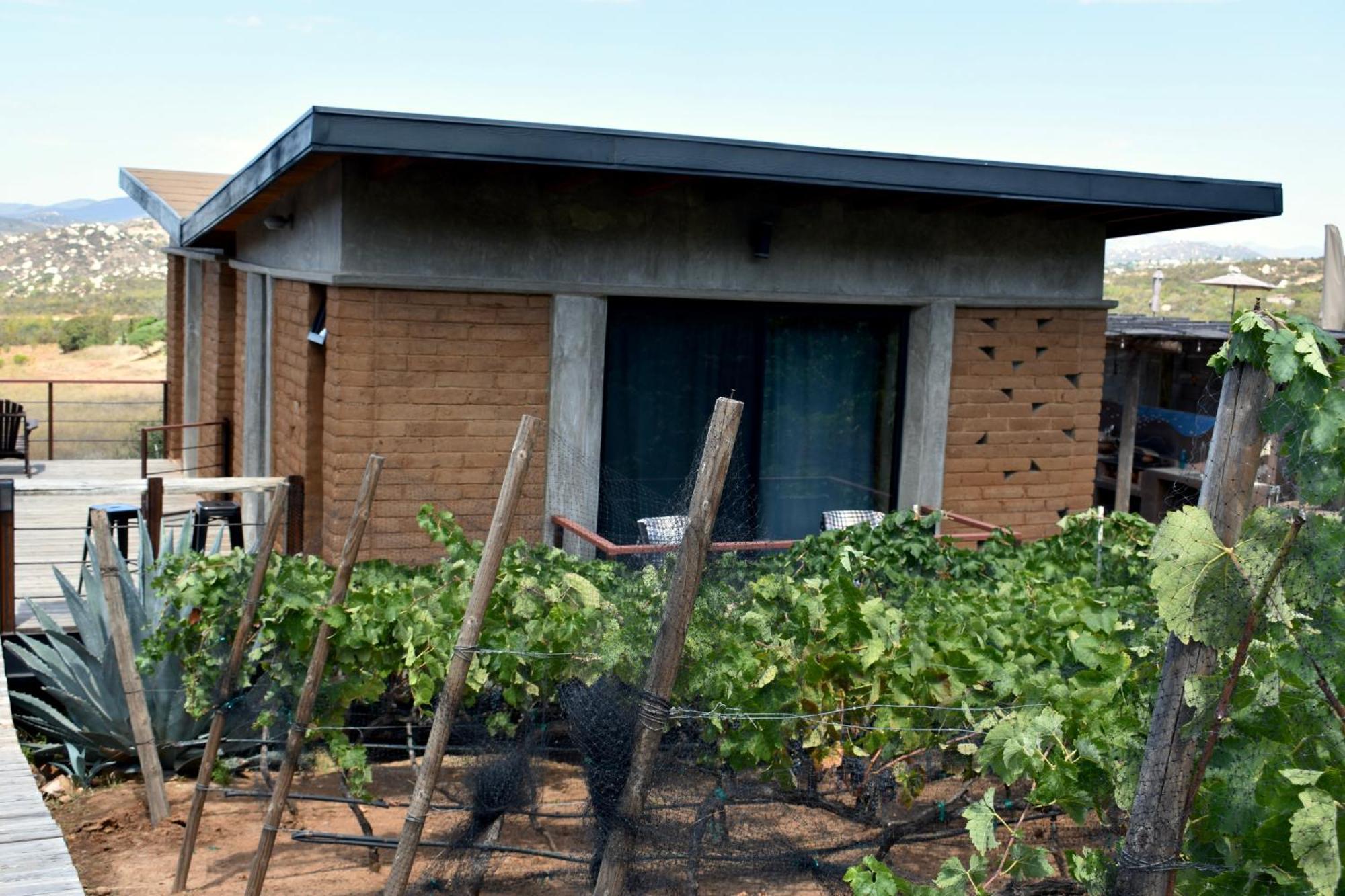 Uvauva Eco-Retreat Bed & Breakfast Valle de Guadalupe Exterior foto